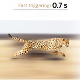 Xenon Flash Trail Camera with 64MP &  1080P Video